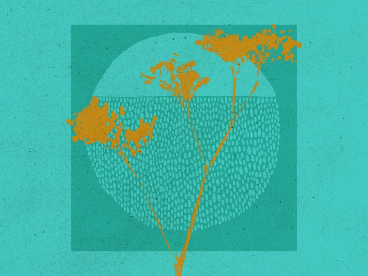 «ilustraciones: primeros bocetos»