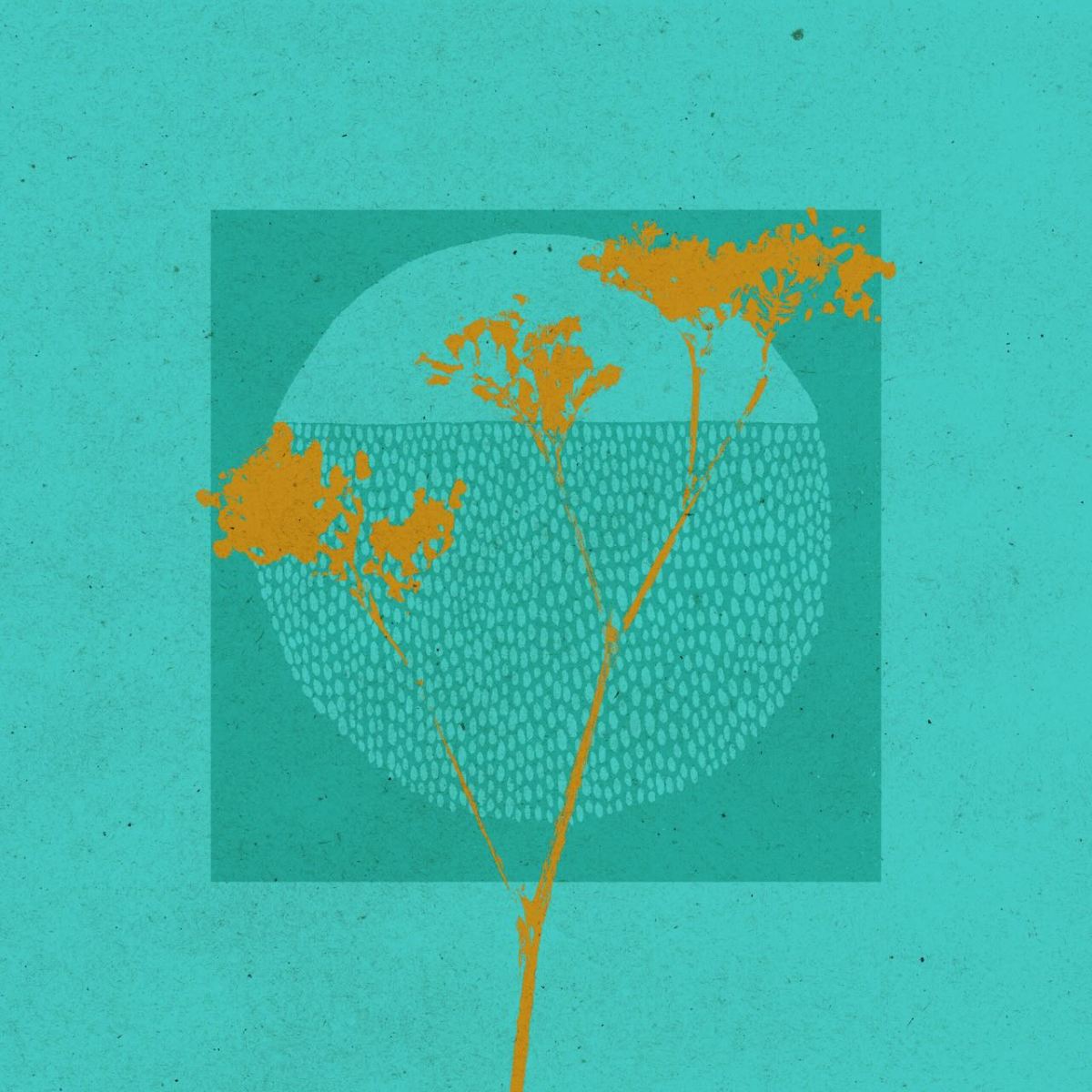 «ilustraciones: primeros bocetos»